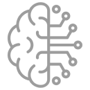 brainImg